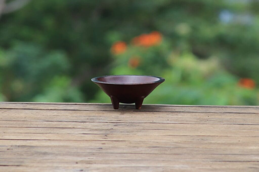 insurance for kava sellers