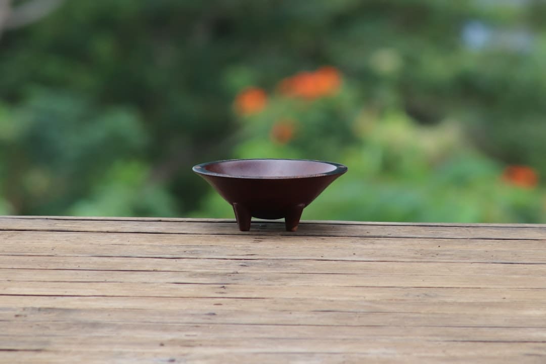 insurance for kava sellers